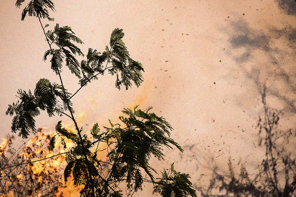 How to Protect Your Home From Wildfire Smoke: A Complete Family Action Plan
